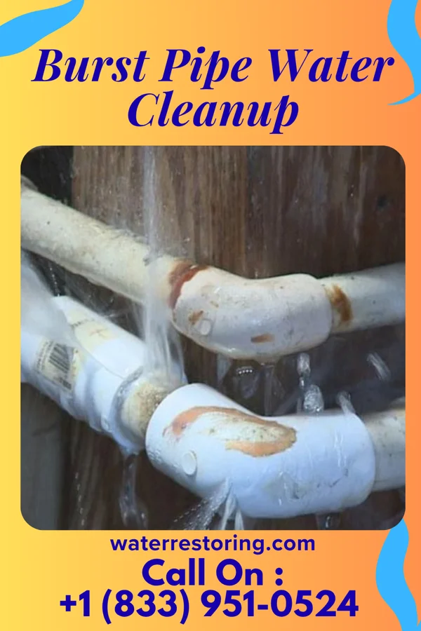 Burst Pipe Water Cleanup in Seven Corners, VA