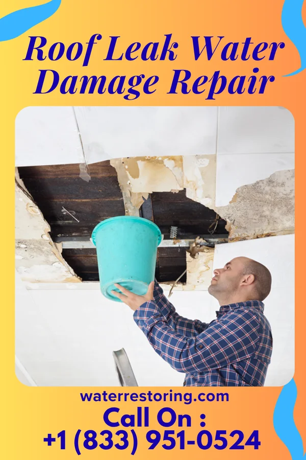 Roof Leak Water Damage Repair in Seven Corners, VA