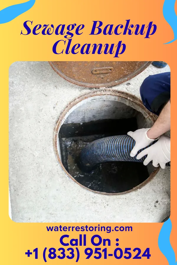 Sewage Backup Cleanup in Seven Corners, VA