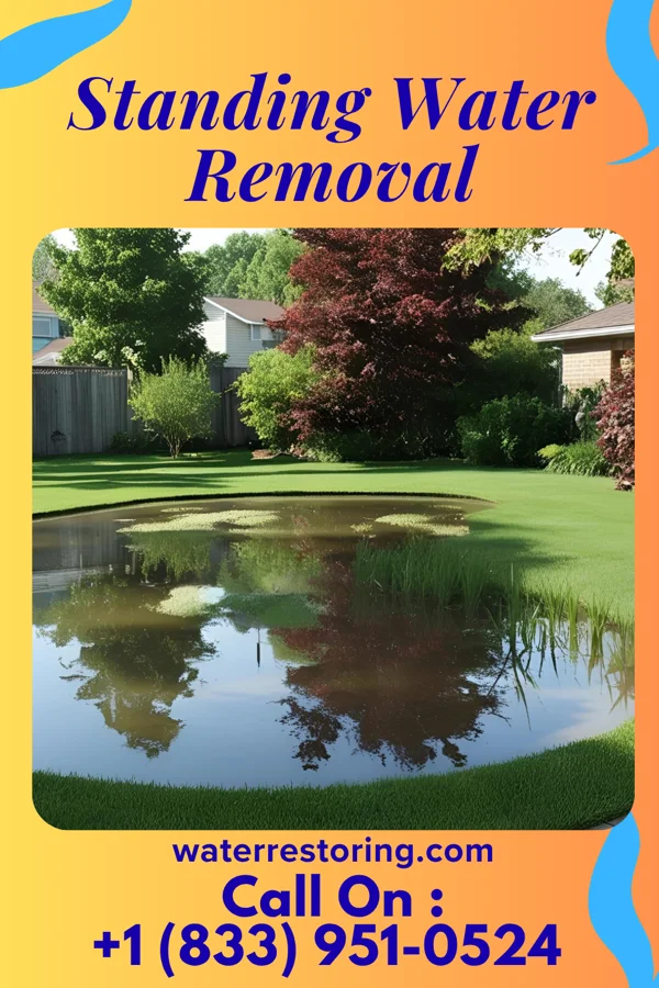 Standing Water Removal in Seven Corners, VA